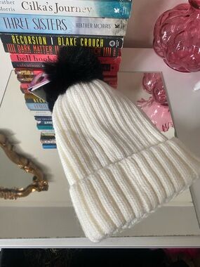 NWT Removable Pom Beanie